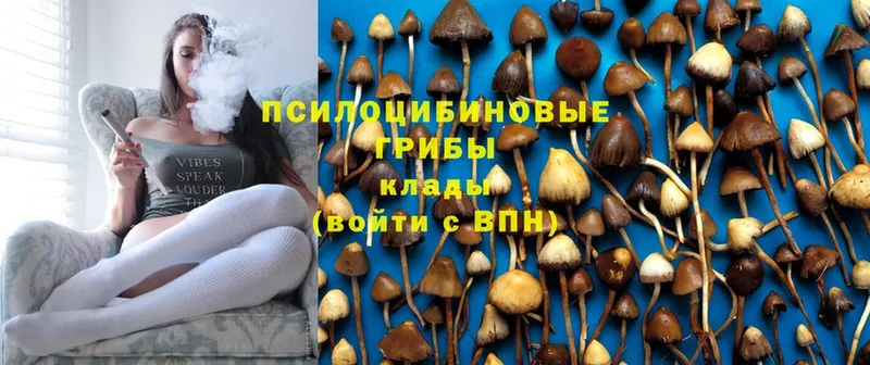 omg как зайти  Лакинск  Галлюциногенные грибы GOLDEN TEACHER  купить закладку 